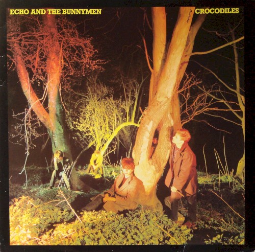 Crocodiles cover